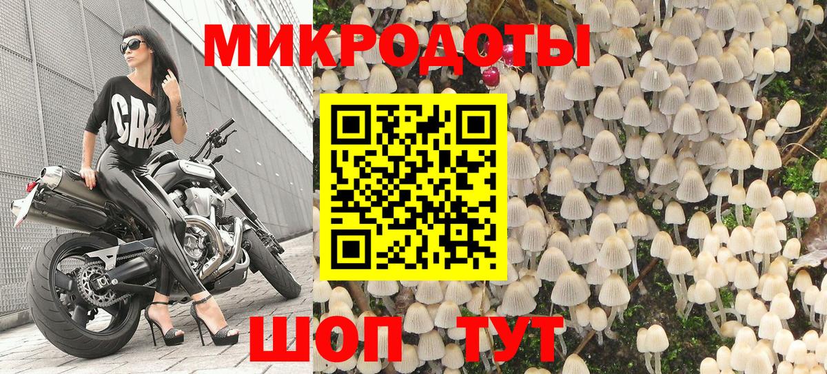 купить  цена  Вход с VPN  Барнаул  Псилоцибиновые грибы Psilocybine cubensis 